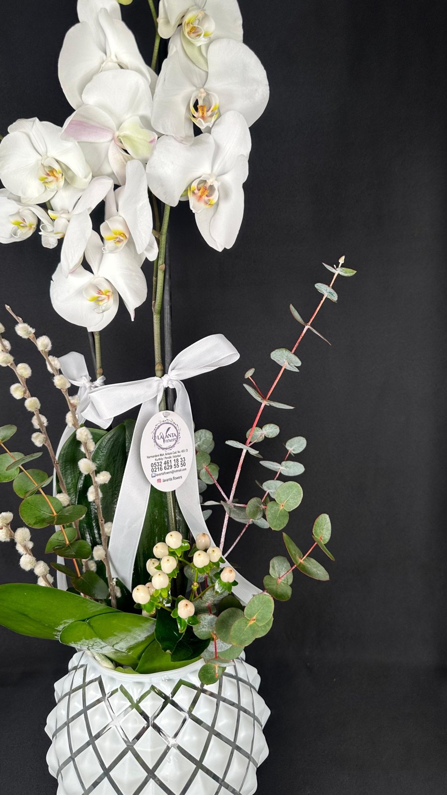 Lavanta Flowers Saflık Dokunuşu Beyaz Orkide